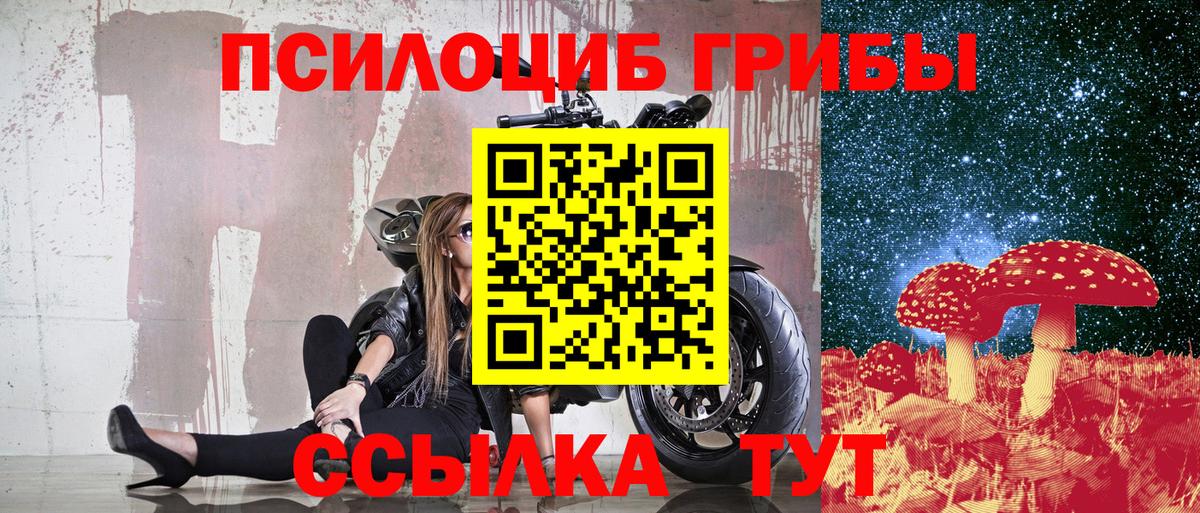 Галлюциногенные грибы GOLDEN TEACHER Тейково